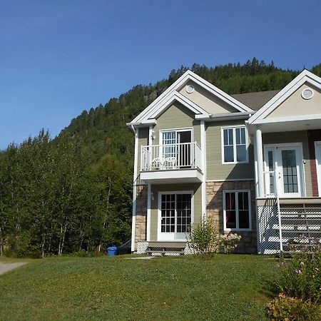 Condo Mont-Edouard L'Anse-Saint-Jean Bagian luar foto