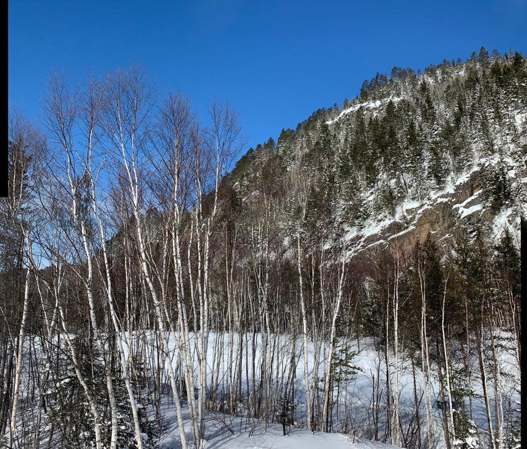 Condo Mont-Edouard L'Anse-Saint-Jean Bagian luar foto